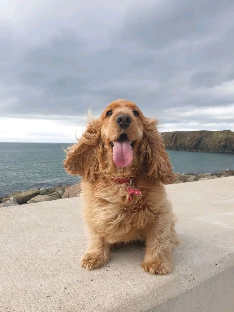 wilma on brighton beach